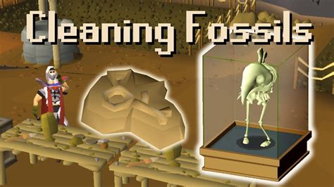 fossil osrs